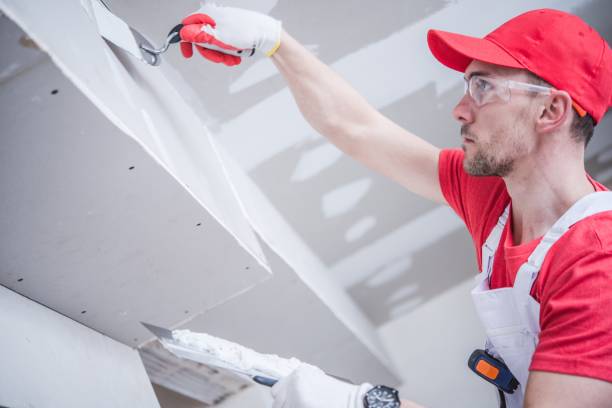 Best Drywall Sanding and Smoothing  in Sumner, WA